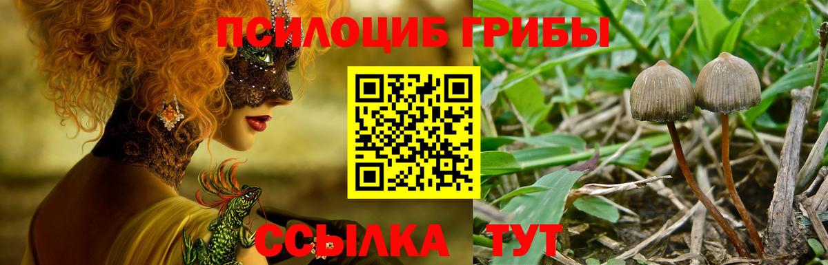 Псилоцибиновые грибы Psilocybine cubensis Еманжелинск